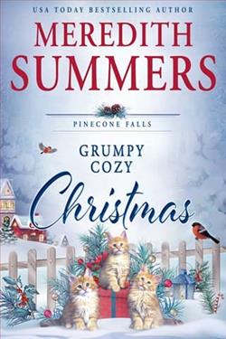 Grumpy Cozy Christmas by Meredith Summers