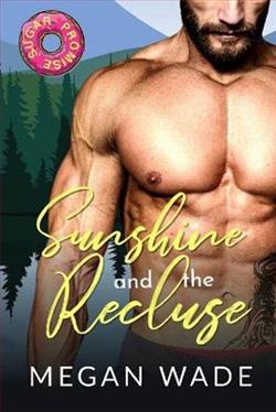 Sunshine and the Recluse by Megan Wade