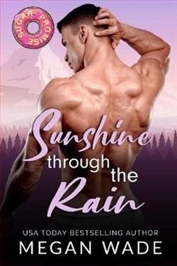 Sunshine Through the Rain by Megan Wade