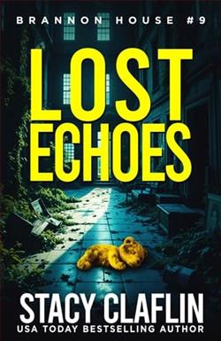 Lost Echoes by Stacy Claflin