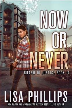 Now or Never by Lisa Phillips