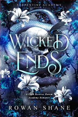 Wicked Ends by Rowan Shane