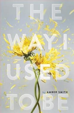 The Way I Used to Be by Amber Smith