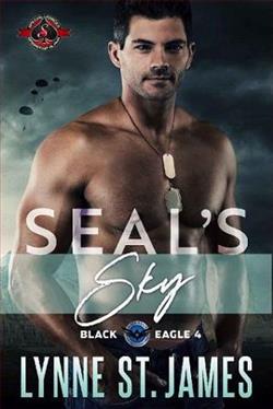 SEAL's Sky by Lynne St. James