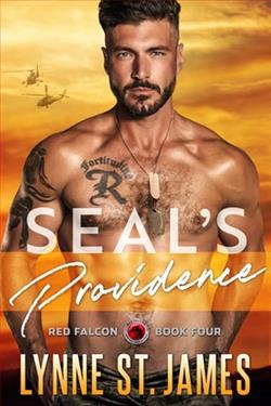 SEAL's Providence by Lynne St. James