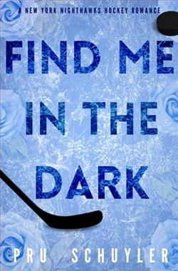 Find Me in the Dark by Pru Schuyler