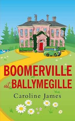 Boomerville at Ballymegille by Caroline James