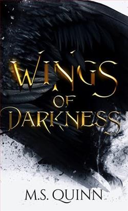 Wings of Darkness by M.S. Quinn