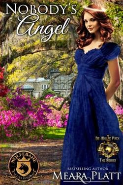 Nobody's Angel by Meara Platt
